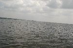 Punnamada lake, Alappuzha