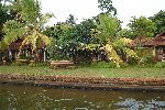 Punnamada lake, Alappuzha