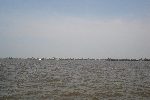 Punnamada lake, Alappuzha