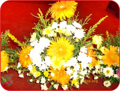 School Annual Day